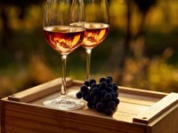 Los beneficios del vino para la salud y el bienestar